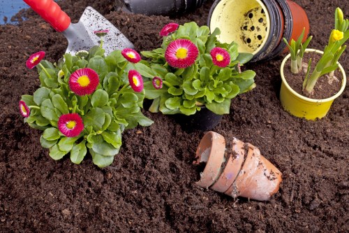 Professional planting service for a Staines garden border