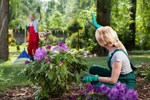 Professional insured landscaping and rubbish removal service in Staines
