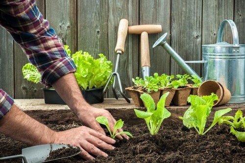Staines landscaping design with paving, planting, and lawn features