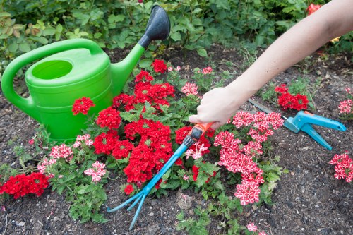 Garden renovation work being planned in a Staines residential outdoor space