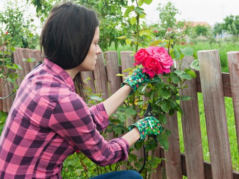 Landscaping waste being sorted for eco-friendly recycling in Staines