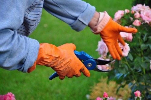 Team member reviewing landscaping risks and protective measures
