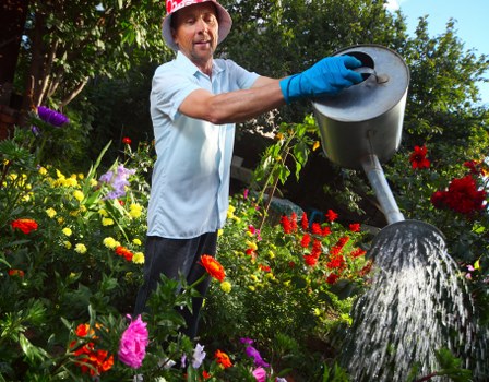 Commercial flower bed planting and frontage landscaping in Staines