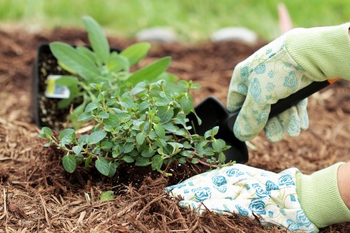 Clearing and preparing a garden renovation site in Staines