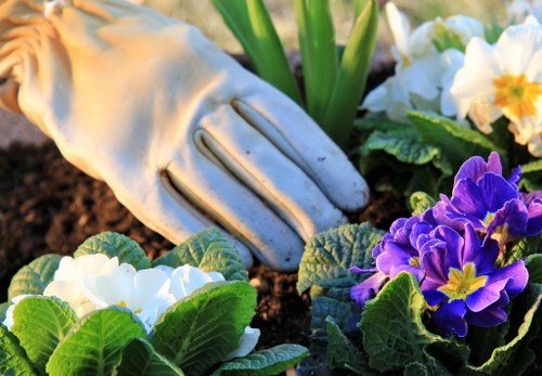 Prepared flower bed service in Staines with soil improvement and planting layout