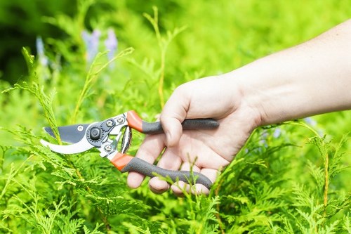 Low-carbon van used for local landscaping waste collection