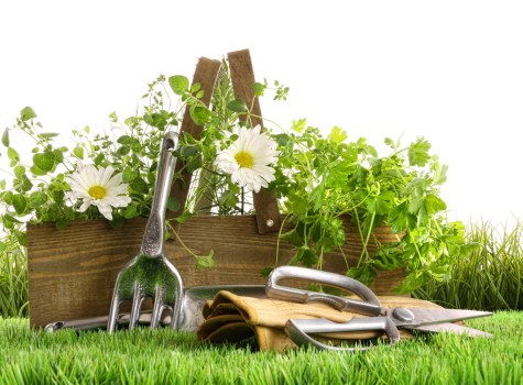 Sustainable landscaping rubbish area with separated waste streams