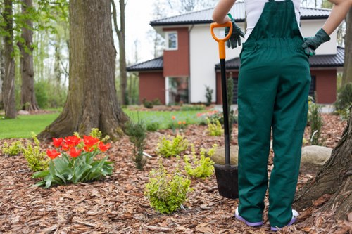 Professional landscapers planning a garden transformation in Staines