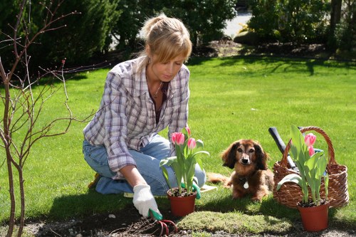 Accessibility statement update for Landscapers Staines