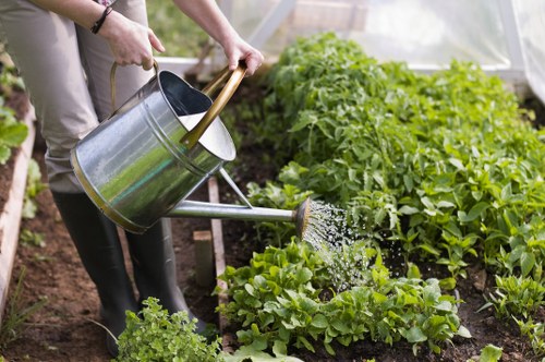 Residential landscaping and outdoor improvement in Staines