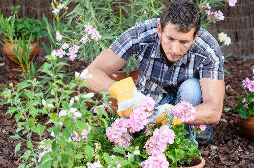Risk assessment and site safety checks for landscaping work